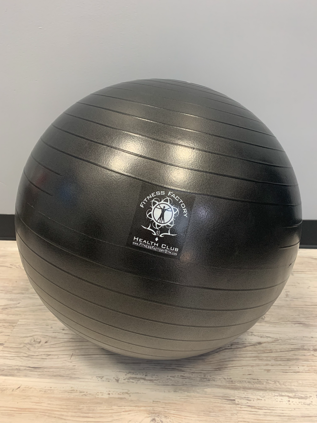 Fitness Factory Physio Ball - 55cm